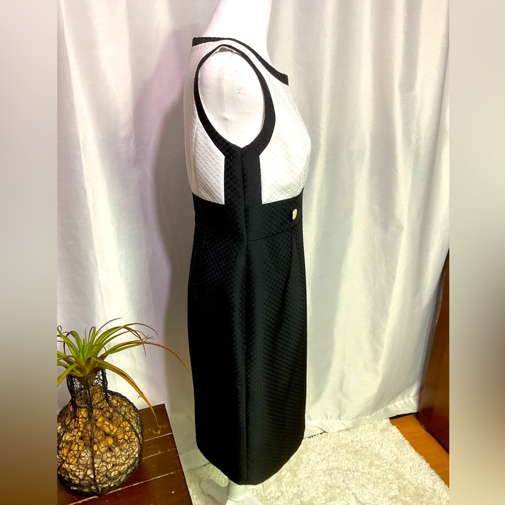 Tahari ASL Dress - Picture 8 of 14
